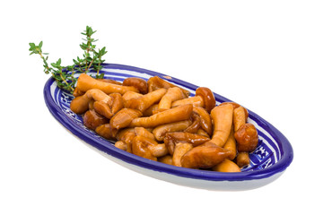 Armillaria