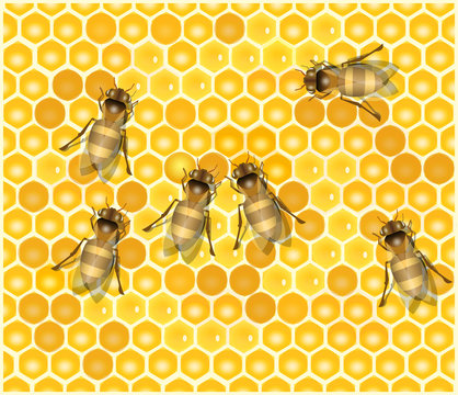 Honeycomb