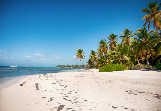 Beautiful white beach with tropical palm trees, Saona, Caribbean