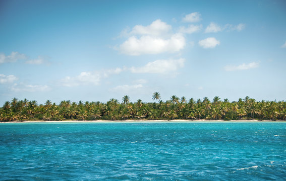 Wonderful palm coastline of Saona Island, Caribbean