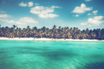 Prachtige palmkustlijn van Saona Island, Caribbean