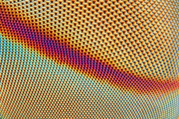 Extreme sharp and detailed photo of the eye of a horse fly