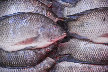 Background with fresh rudd on market