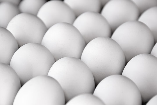 background of fresh white eggs