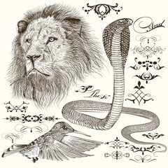 Naklejka premium Set of hand drawn detailed animals and flourishes in vintage sty