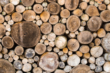 Wood texture background