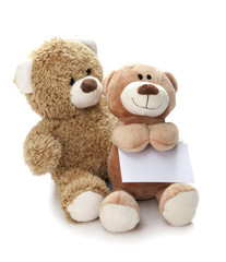 ours et panneau publicitaire