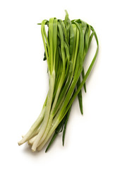 Bunch of leek