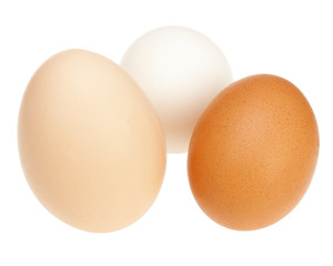 Colorful chicken eggs.