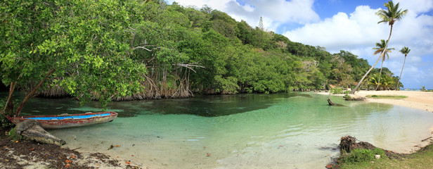 rivière et mangrove de république dominicaine