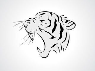 tiger