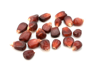 Red heirloom sweetcorn seeds