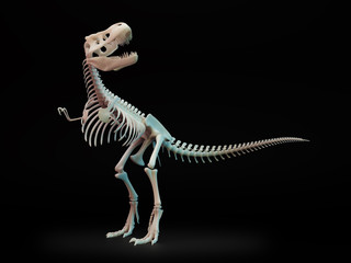 Tyrannosaurus rex skeleton. © Mopic