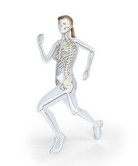 Female runner anatomy