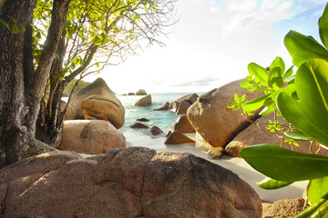 Dream Beach - Anse Lazio