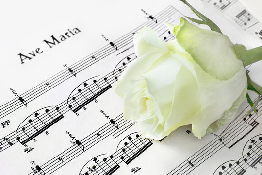 Ave Maria - Noten und Rose