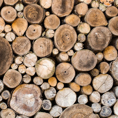 Wood texture background