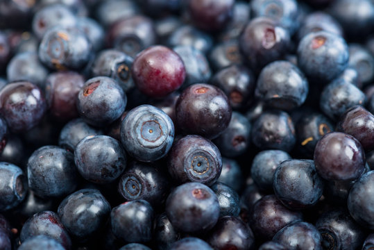 Fresh ripe blueberry background