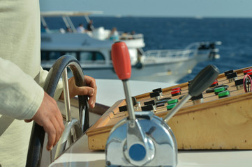 Hands of skipper