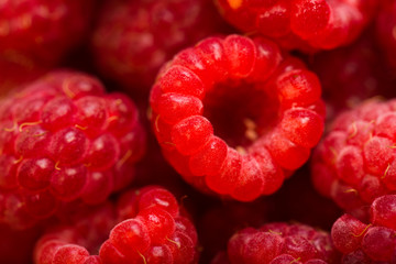 Raspberry fruit background