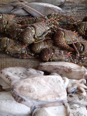 Marché Poissons Fish Market In Middle East or Africa