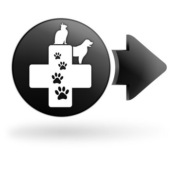 clinique vétérinaire sur bouton noir