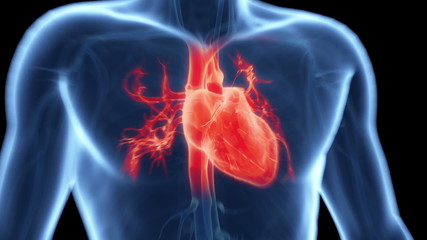 medical animation of the - Powered by Adobe