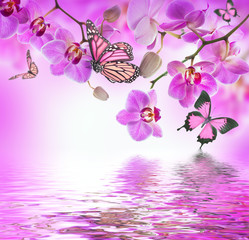 Panele Szklane Podświetlane  Kwiatowe tło tropikalnych storczyków i motyli