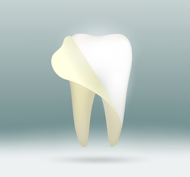 white human tooth
