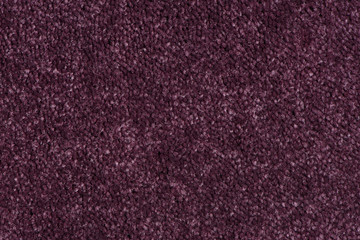 Purple carpet