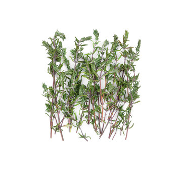 Dried thyme sprigs