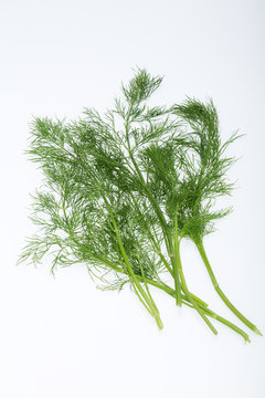 Green dill isolated on white background.