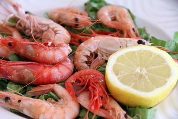 Prawn of Denia,Costa Blanca,Alicante,Spain