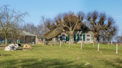 Fototapeta na wymiar Old cottage with cattle