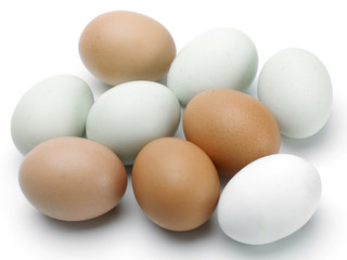 eggs