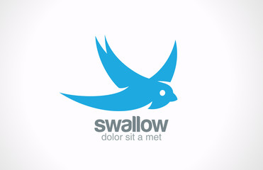Swallow bird abstract vector logo design. Creative icon