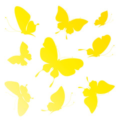 butterflies design