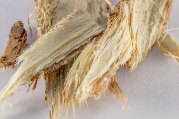 Para-rubber Tree Peel