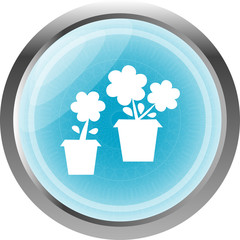 Flowerpot with flower icon isolated on white
