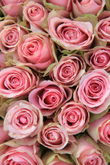 Pink roses in a wedding arrangement
