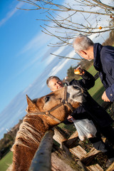 Elderly couple petting a horse in a paddock