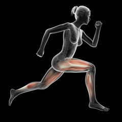 Fototapeta na wymiar illustration of a running woman - visible leg muscles