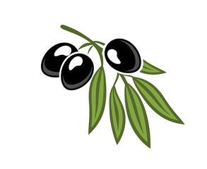 Black olives on a leafy twig