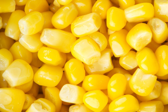 Sweet kernel corn background