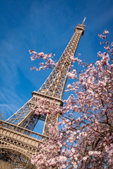 Eiffel Tower in Paris