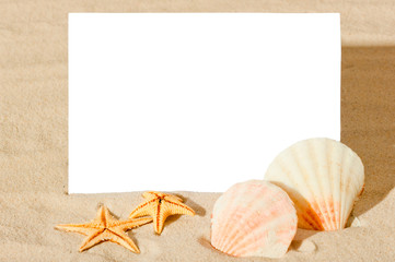 blank white sheet and seashells on the beach