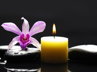 still life with macro of orchid and candle on black stones