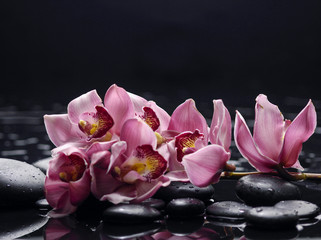 Obraz na płótnie Canvas still life with orchid on pebble