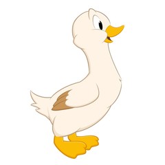 Cartoon Duck