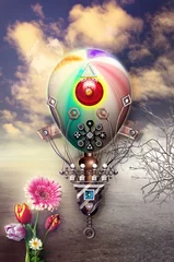 Poster Zonsonderganghemel met gekleurde ballon © Rosario Rizzo